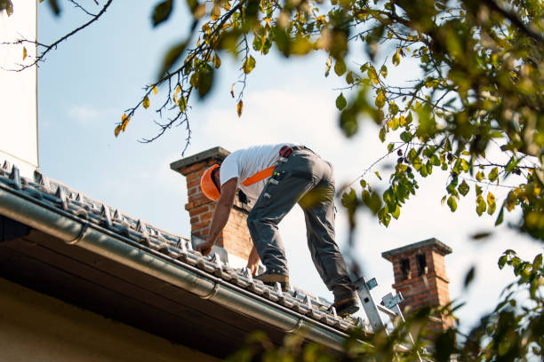 Best Residential Roofing Contractor  in Capac, MI