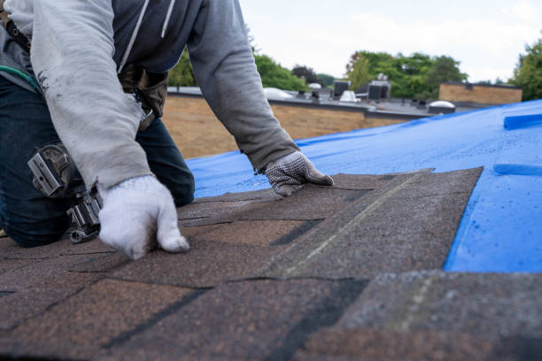 Best Commercial Roof Installation  in Capac, MI