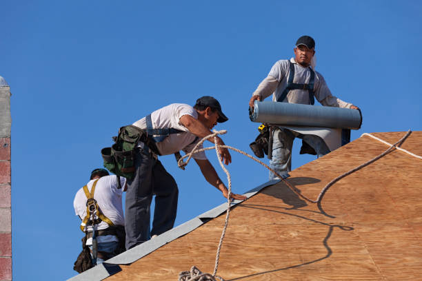 Best Roof Waterproofing Services  in Capac, MI