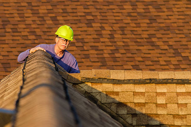 Best New Roof Installation  in Capac, MI