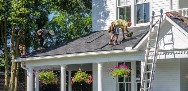 Best Flat Roof Repair Services  in Capac, MI
