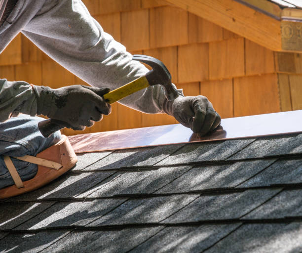 Best Residential Roof Replacement  in Capac, MI